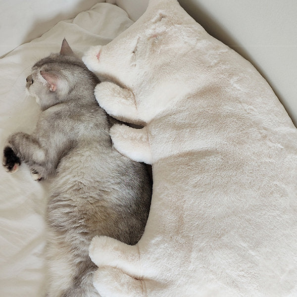 Adorable Cat Pillow