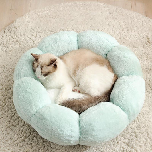 Flower Shaped Cat Bed