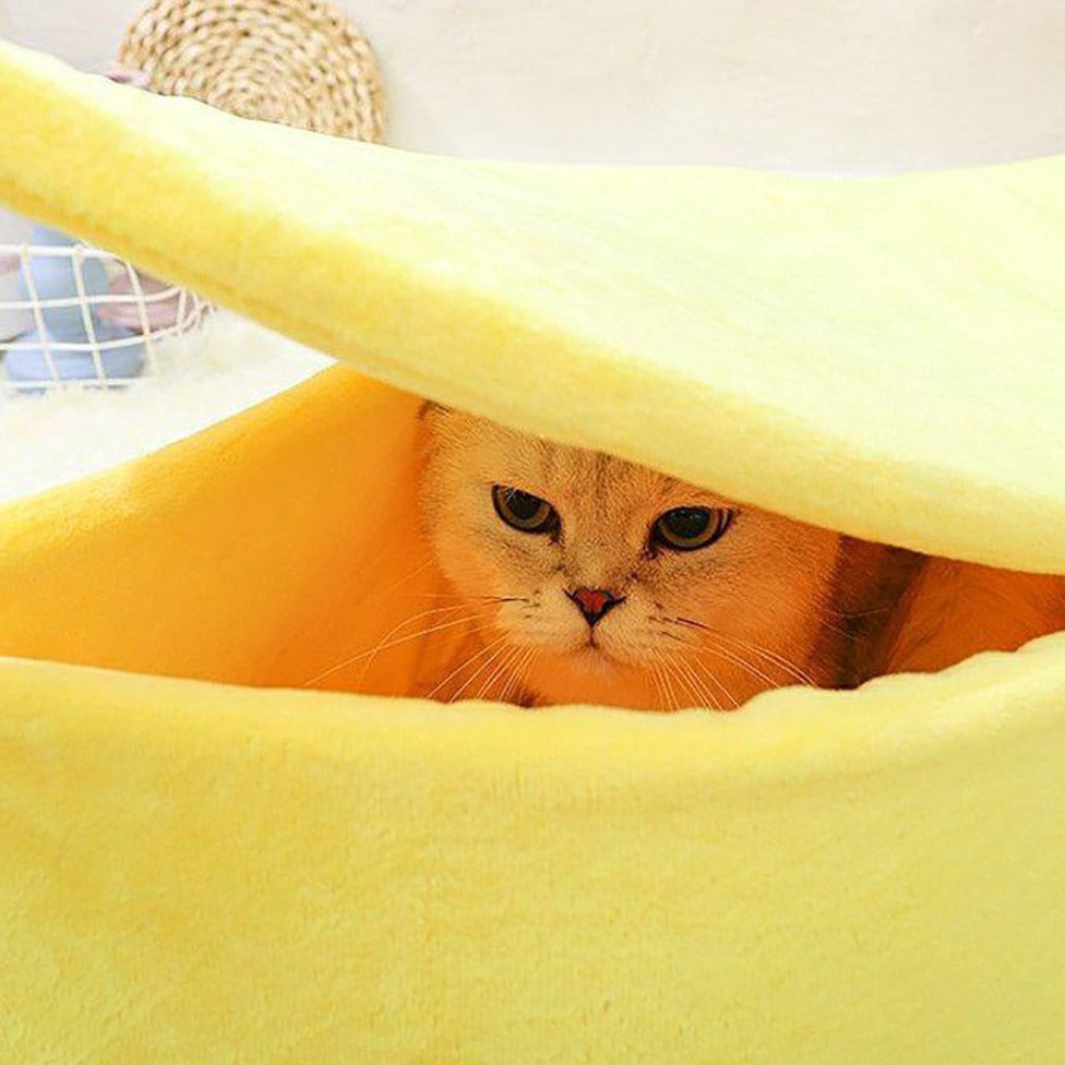 Pastel Banana Cat Dog Pet Bed House