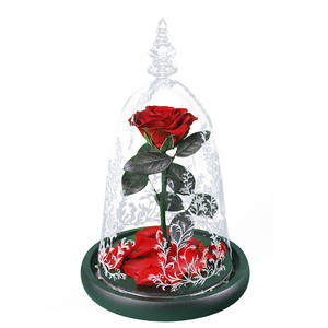 LED Glass Display with Immortal Enchanted Bell Rose (Preserved or Artificial Options)