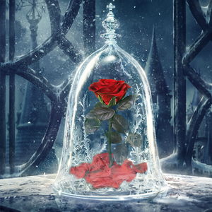 LED Glass Display with Immortal Enchanted Bell Rose (Preserved or Artificial Options)