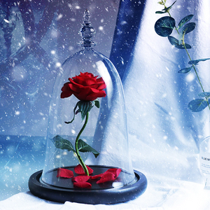 LED Glass Display with Immortal Enchanted Bell Rose (Preserved or Artificial Options)