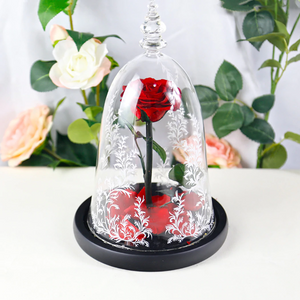 LED Glass Display with Immortal Enchanted Bell Rose (Preserved or Artificial Options)