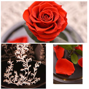 LED Glass Display with Immortal Enchanted Bell Rose (Preserved or Artificial Options)