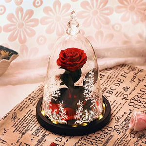 LED Glass Display with Immortal Enchanted Bell Rose (Preserved or Artificial Options)