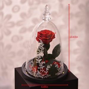 LED Glass Display with Immortal Enchanted Bell Rose (Preserved or Artificial Options)