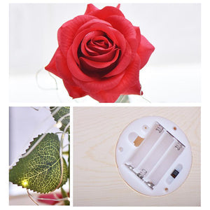 LED Glass Display with Immortal Enchanted Bell Rose (Preserved or Artificial Options)