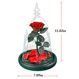 LED Glass Display with Immortal Enchanted Bell Rose (Preserved or Artificial Options)