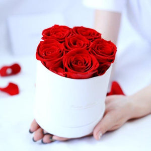 Luxurious, Immortal Enchanted Rose in Round Box - 3 Sizes and Black or White Box Colors